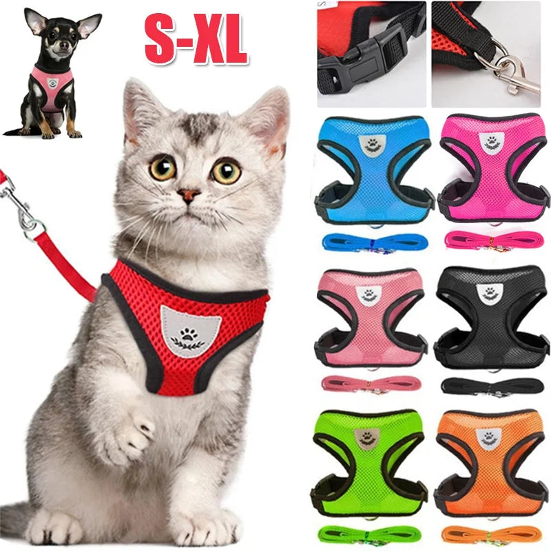 Laisse ajustable pour chats