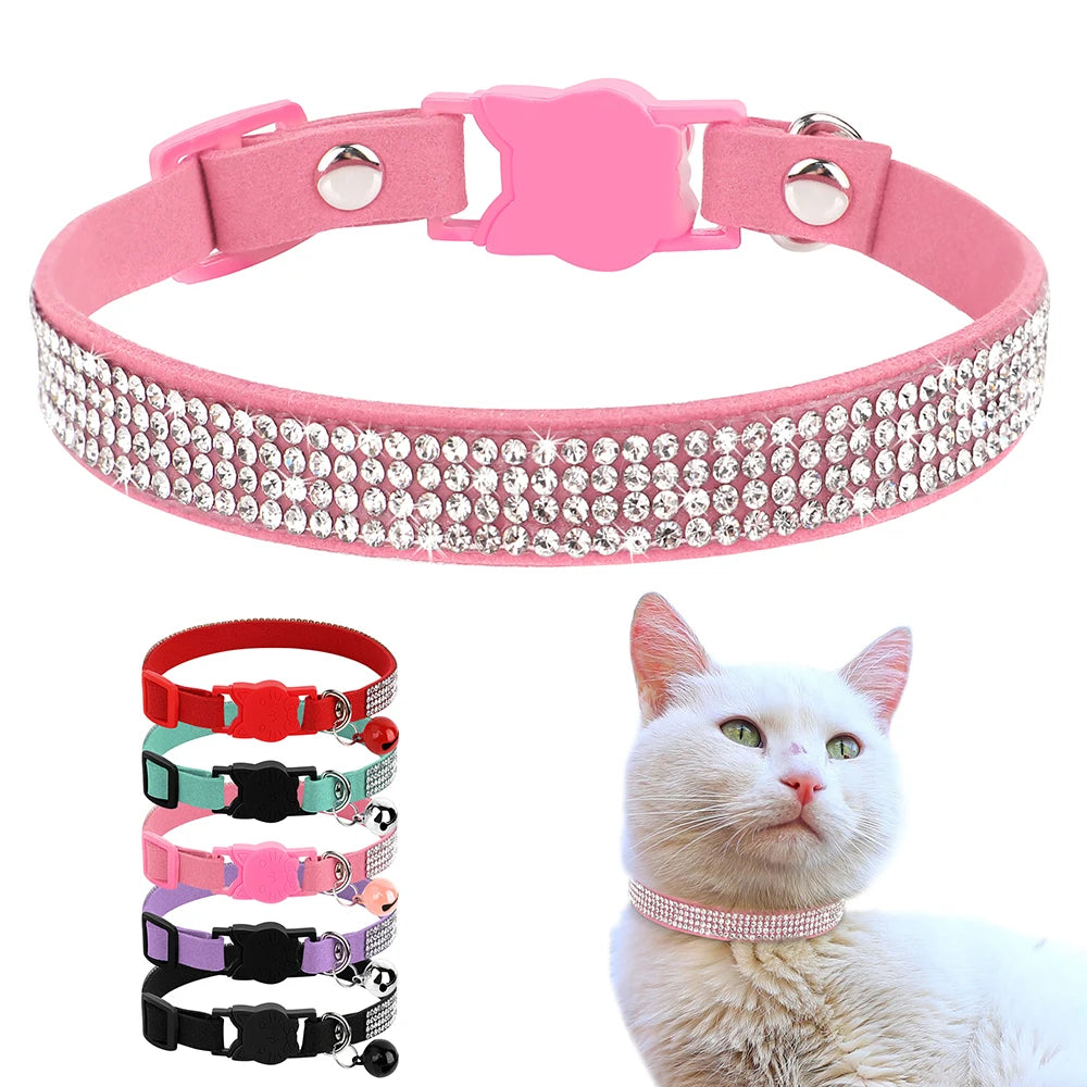 Collier pour chat / chaton