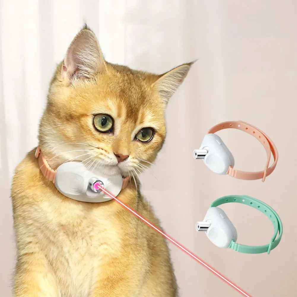 Collier laser intelligent pour chat